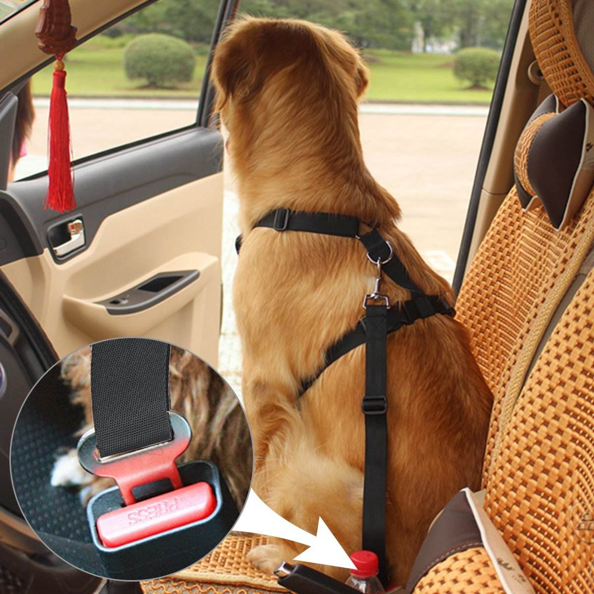 Car Dog Seat Belt Harness