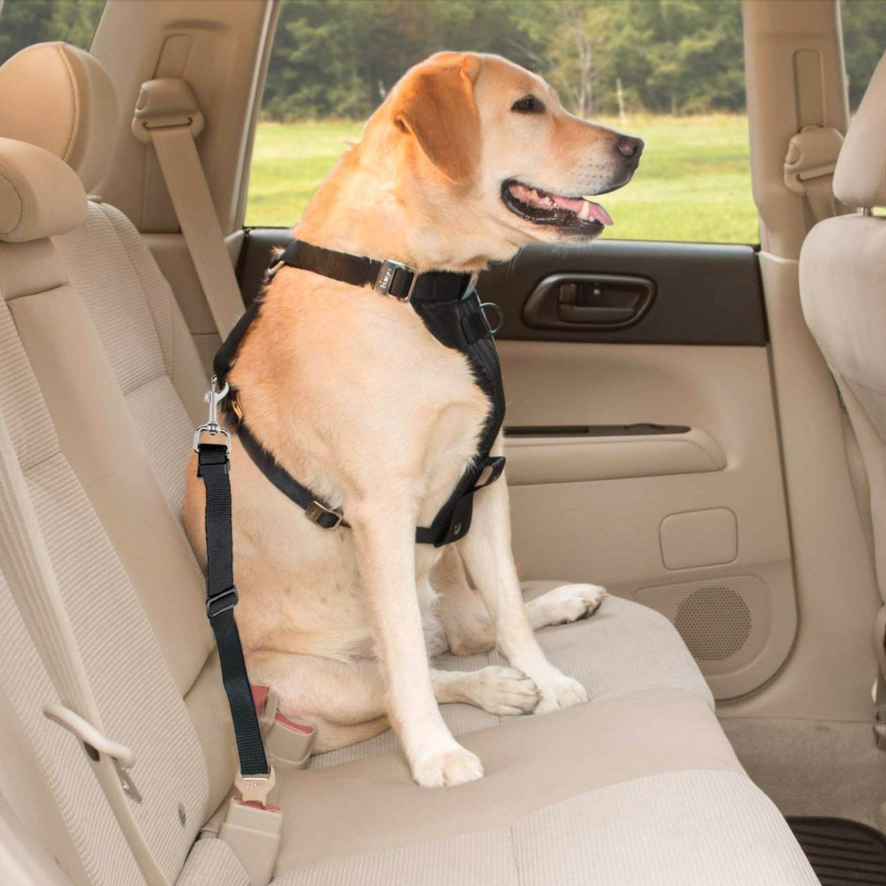 Car Dog Seat Belt Harness