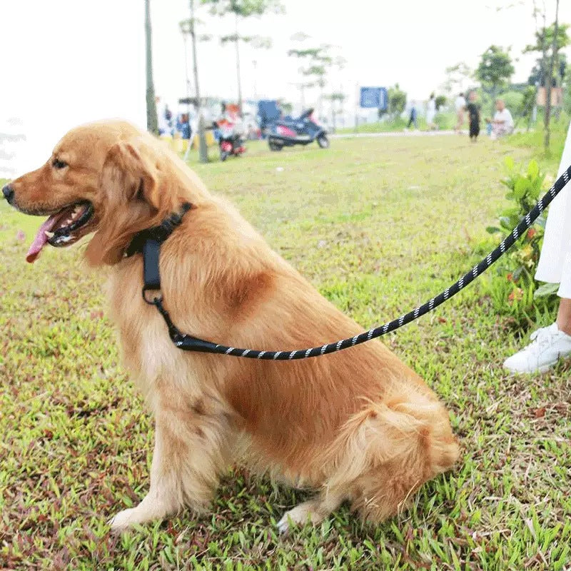 Reflective Soft Handle Nylon Rope Pet Dog Leash